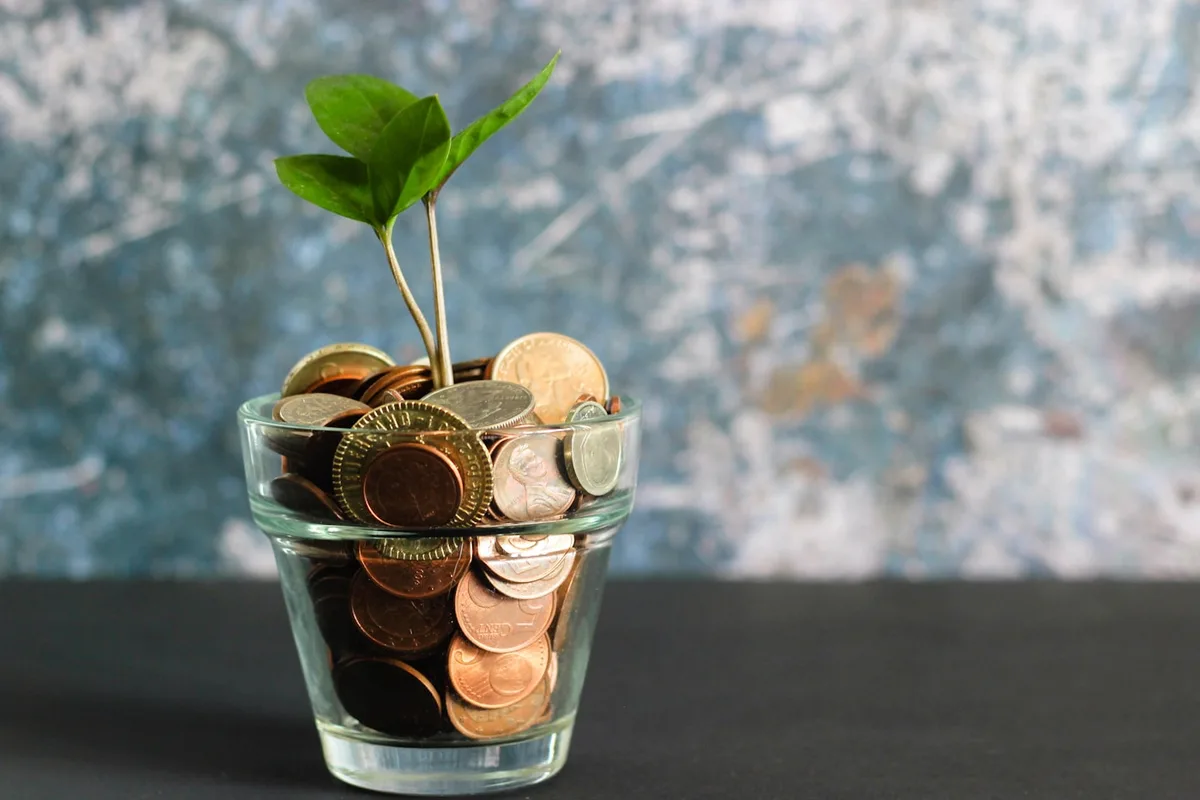 Des pièces de monnaie et une plante qui pousse, symbole de revenus qui grandissent